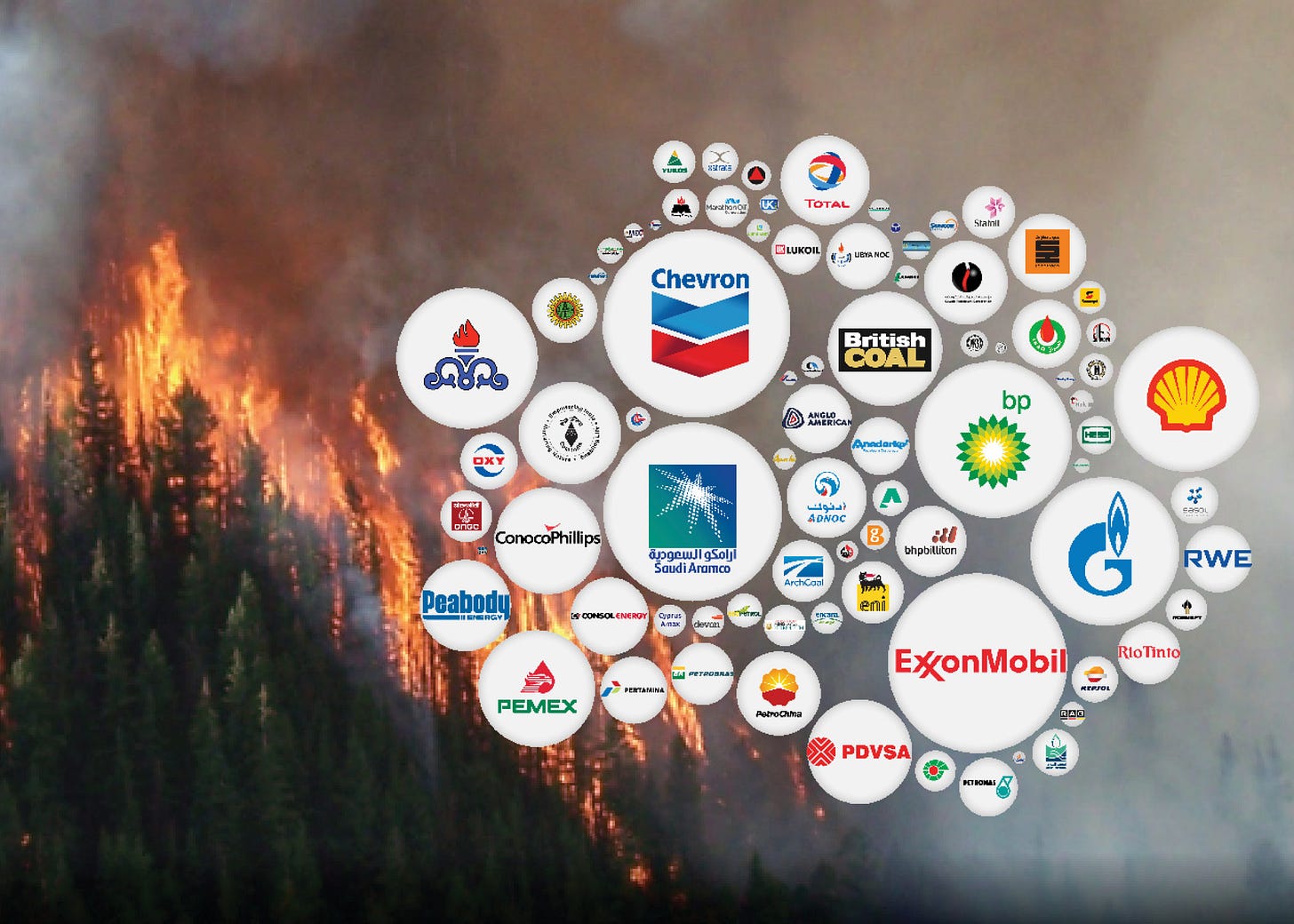 Climate change culture shift: What if we fought climate change with the  passion of the “war on drugs”? | West Coast Environmental Law