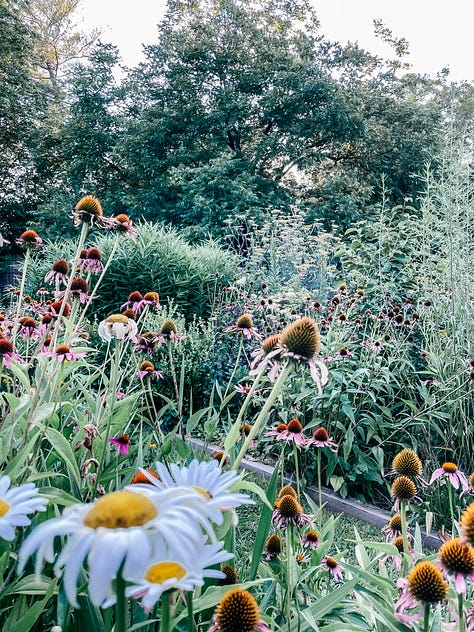 Tessa Pinner's garden