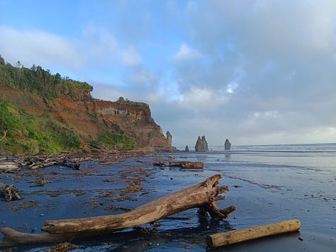 6 photos. 1. driftwood, 2 hagstone, 3. more driftwood and stacks behind, 4. swirling spume 5. a sea stack 6. wide shot stacks and sand and sea spume