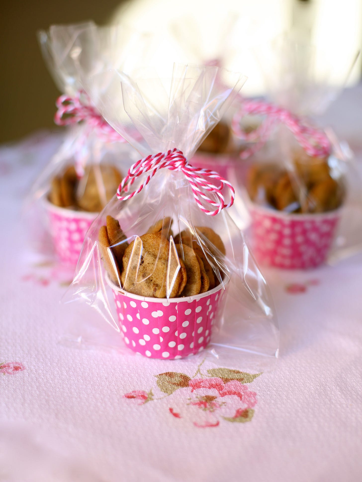 Tiny Chocolate Chip Cookies 
