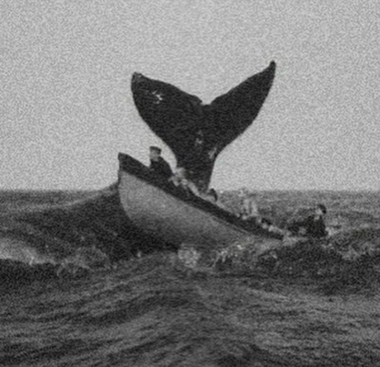 An image added by danielwm on Nov 07, 2024. May present: nantucket sleigh ride, brant point lighthouse, ship, nantucket sleighride.