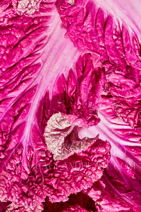 macro photography food photography