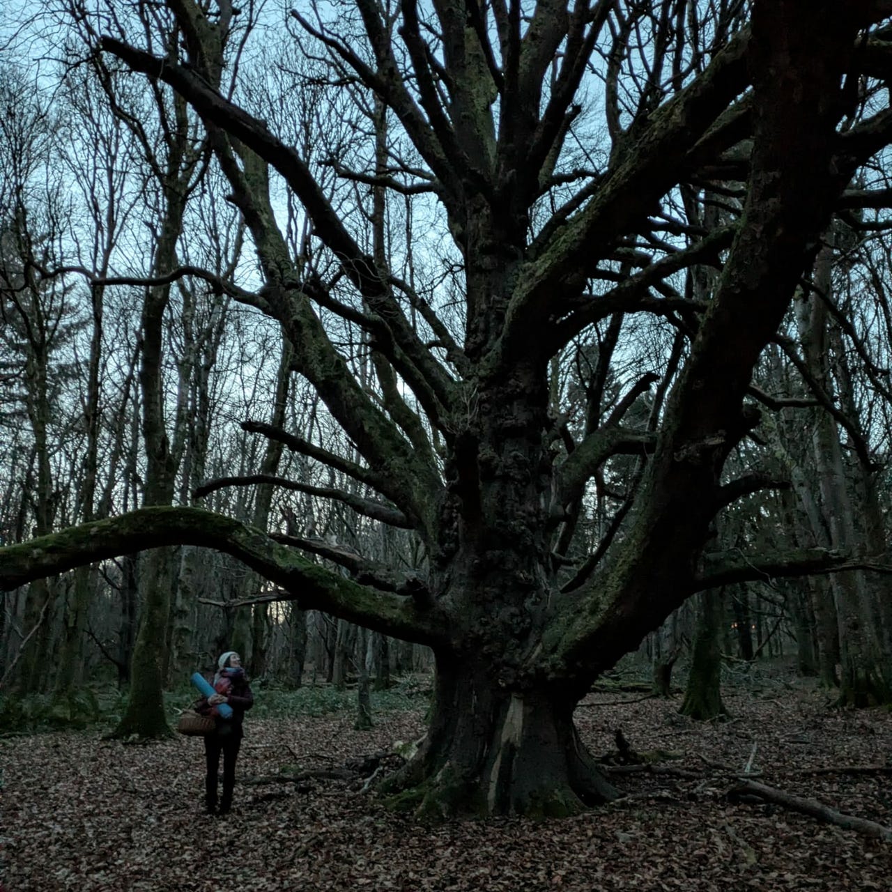 Póilín’s Substack Poetry Jus