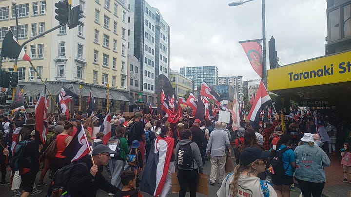 Protesters in Wellington
