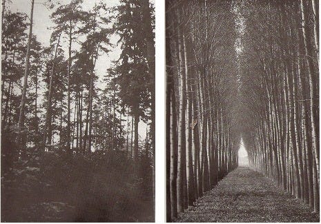 James C. Scott on Seeing Like a State | Phil Ebersole's Blog