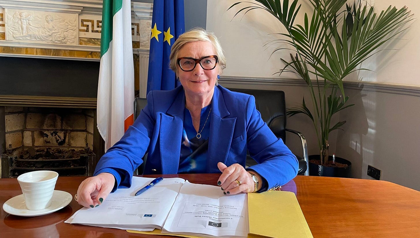 Frances Fitzgerald confirms she will not run in next year's European elections Frances Fitzgerald confirms she will not run in next year's European elections