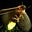 firefly266's avatar