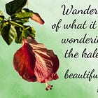 Welcome to my garden!