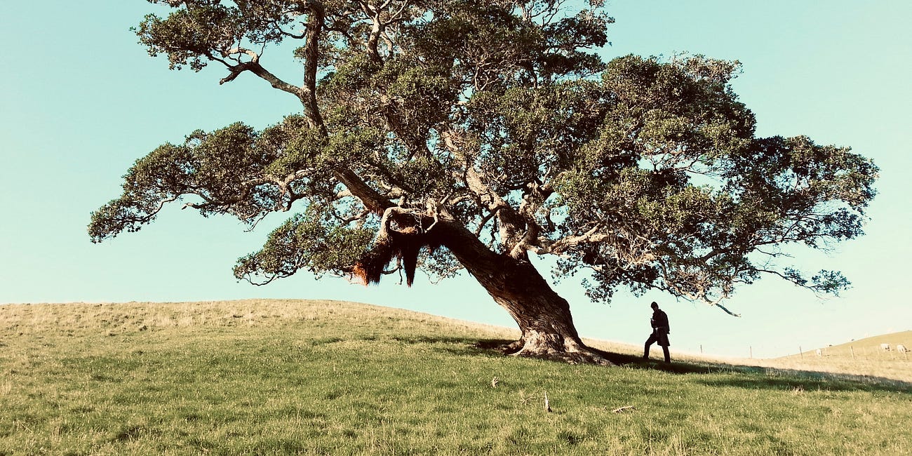 Our Unnatural Nature: On Homosexual Orientation