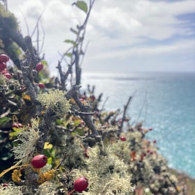 🥖Baguettes and sunsets🌅
