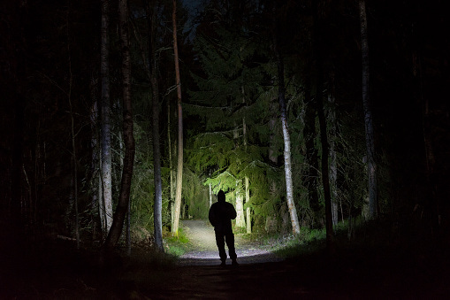 Man Standing In Dark Forest At Night With Flashlight And Hoodie On Head Stock Photo - Download Image Now - iStock Man Standing In Dark Forest At Night With Flashlight And Hoodie On Head Stock Photo - Download Image Now - iStock