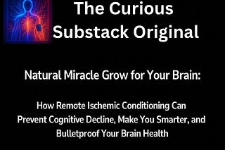 The Curious Substack | Substack