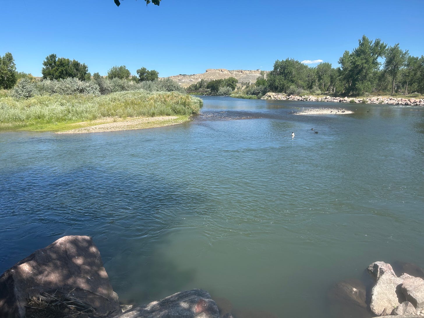 Image of a quiet bend in the Arkansas River, surrounded by trees and brush