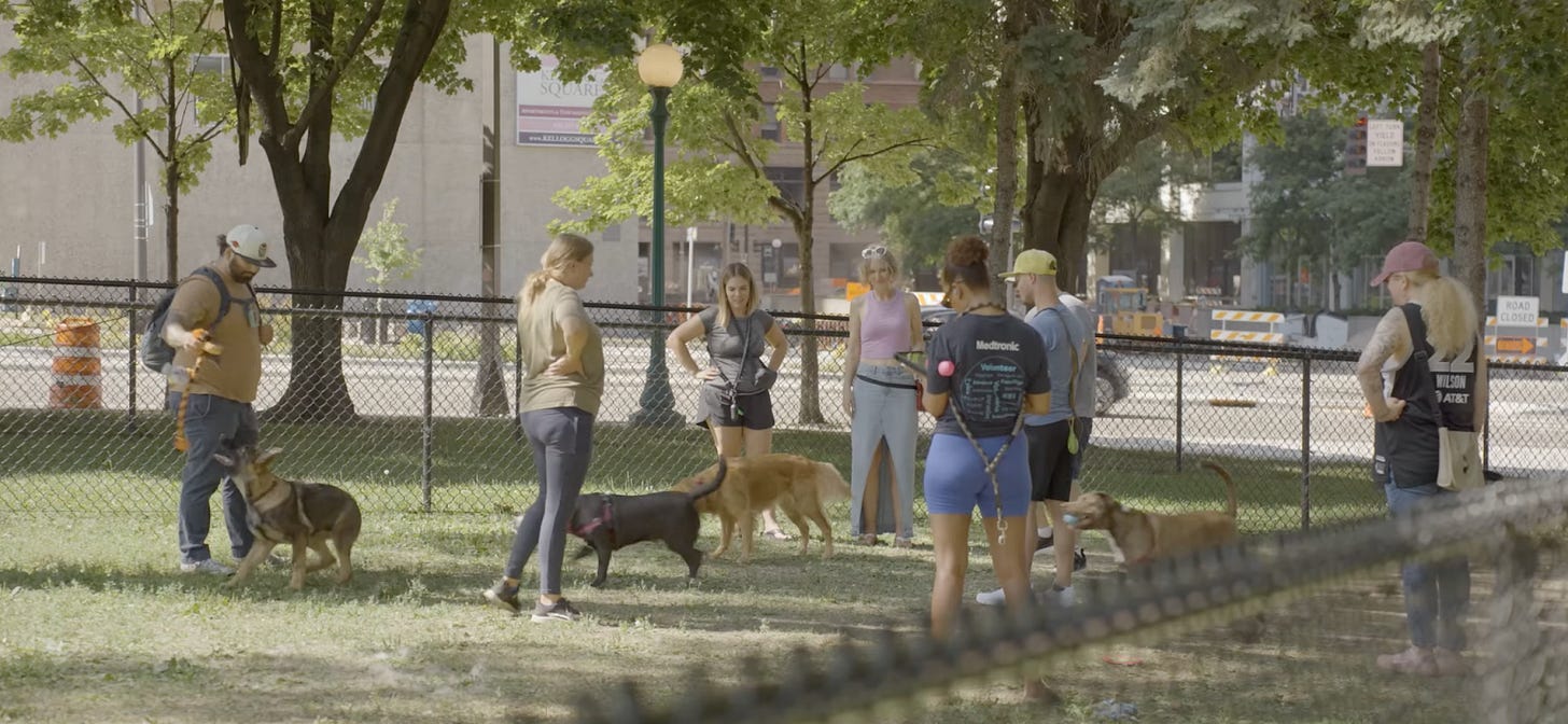 A group of people and their dogs are enjoying a dog park on a sunny day.