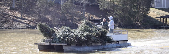 Images of Christmas trees in sales lots, in piles, and in a boat 