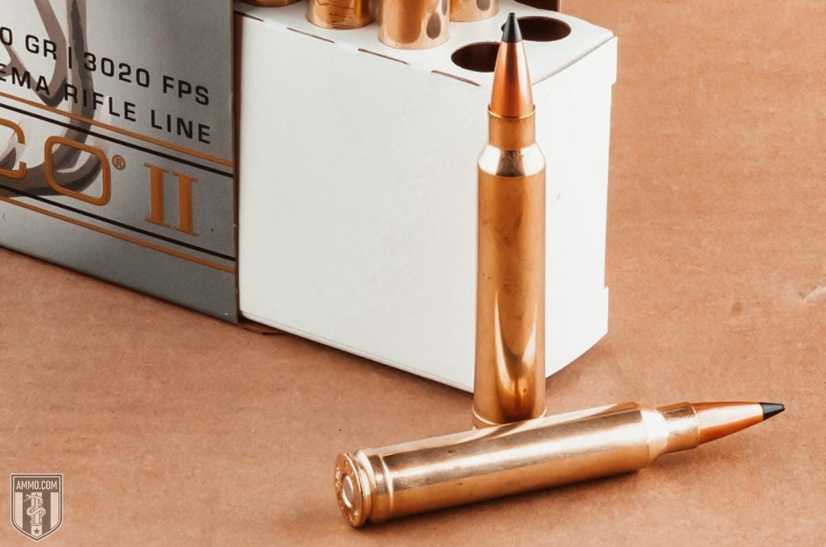 shop 300 win mag ammo