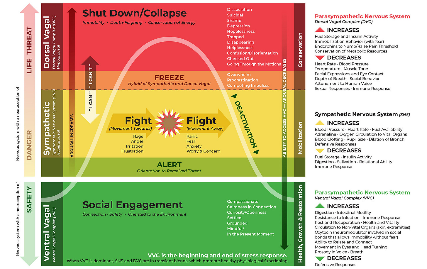 Ruby Jo Walker Southwest Trauma Training Polyvagal Theory Chart