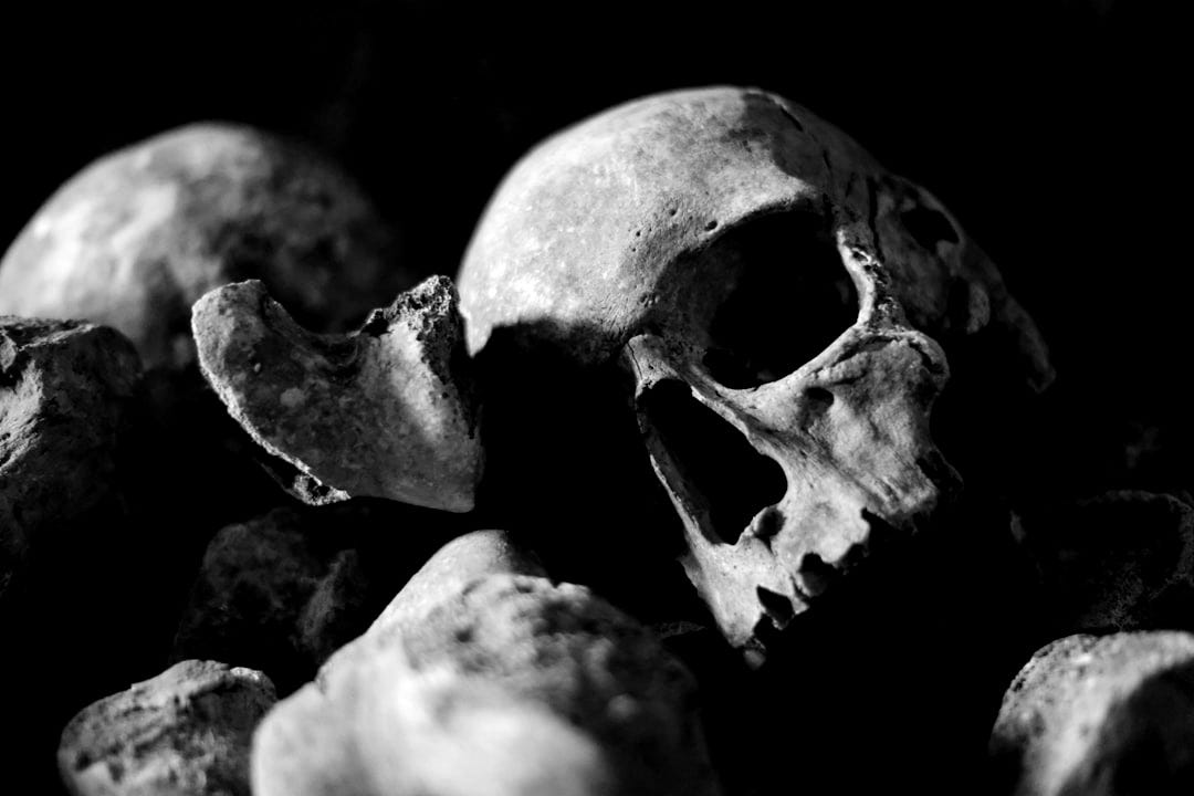 white and black skull on black surface