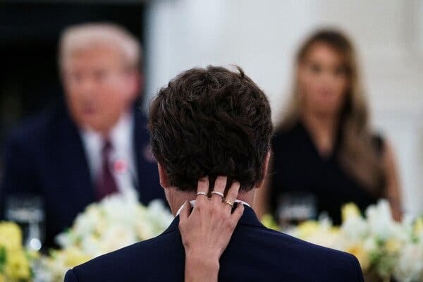 The back of Sergey Brin’s head is shown, with his girlfriend’s hand on the back of his neck as they sit at a White House dinner. Blurred in the background are President Trump and Melania Trump.