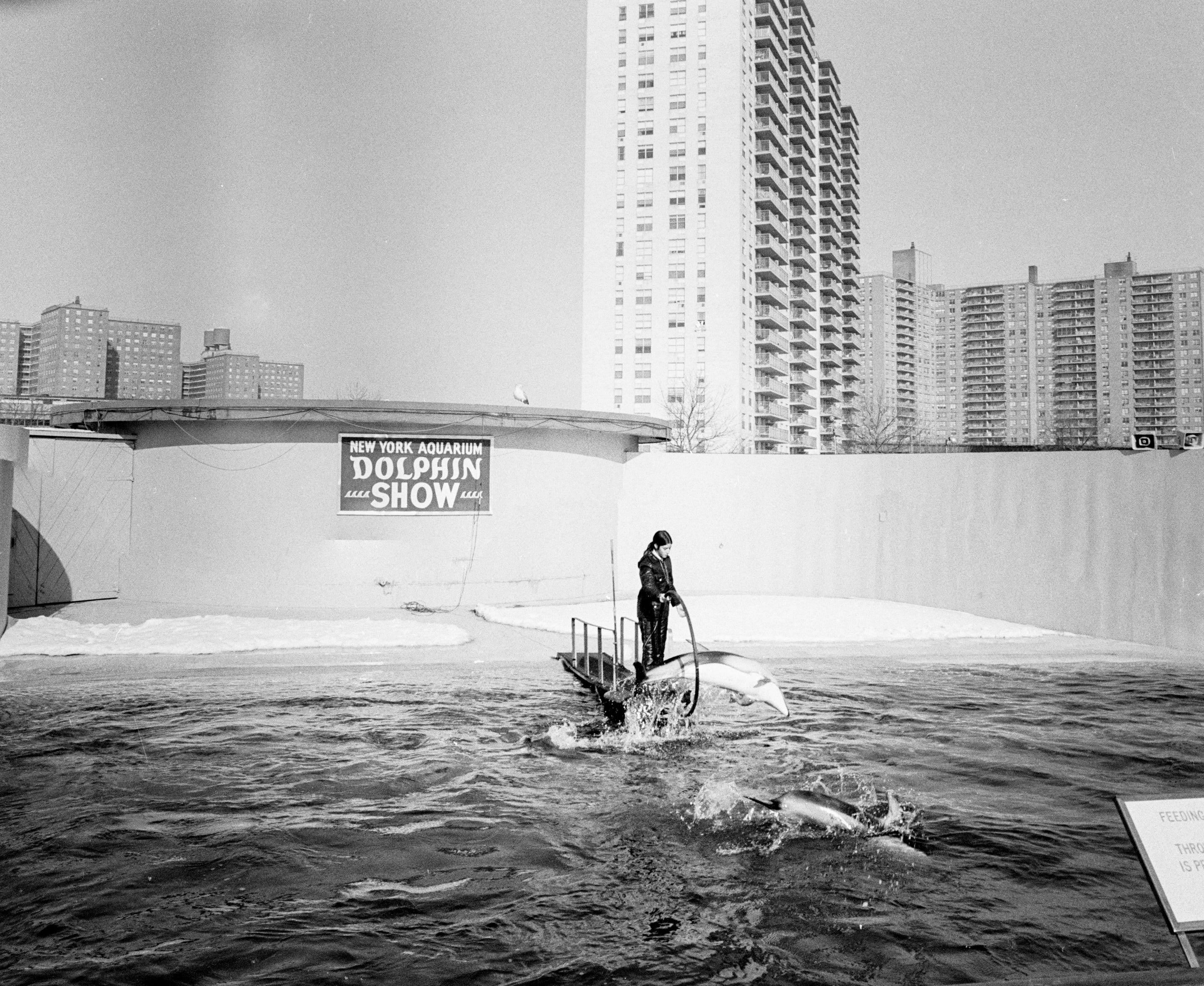 アート・デザイン・音楽 BEC PARSONS CONEY  CONEY ISLAND - BOOK AND SONS オンラインストア
