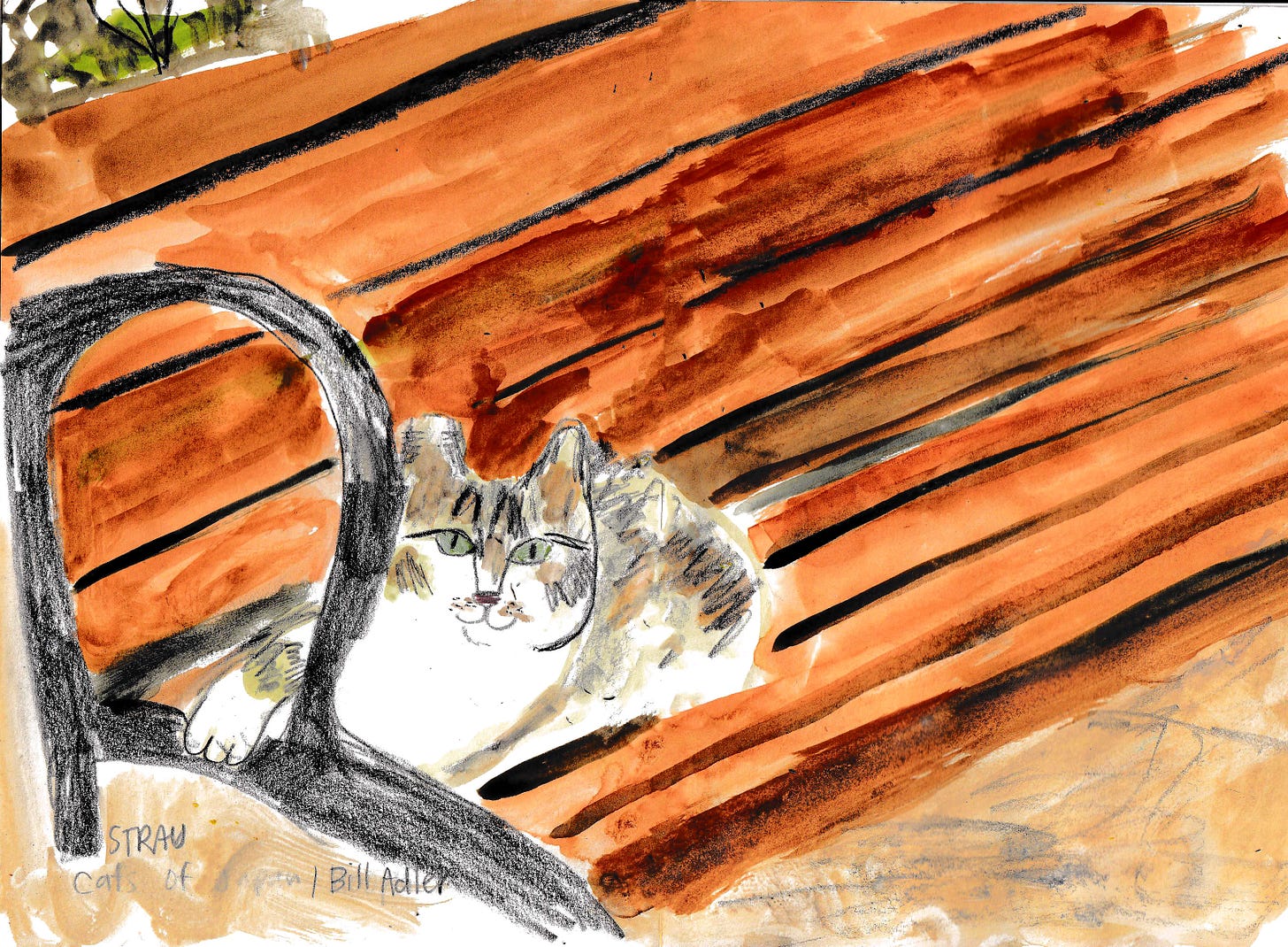 tabby cat on a bench illustration by Beth Spencer tabby cat on a bench illustration by Beth Spencer