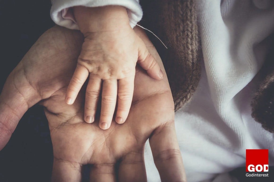 What Does The Bible Say About Gentleness? What Does The Bible Say About Gentleness?