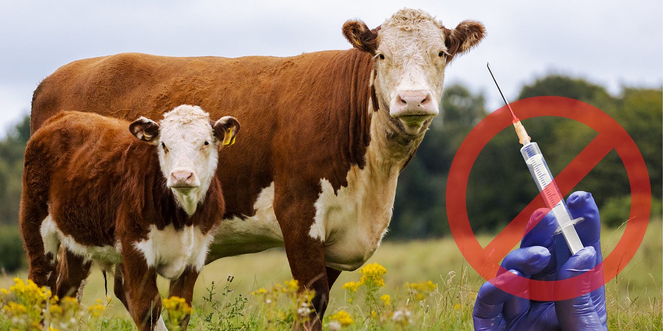Beef Company CEO: “I’ll Shut Down the Company Before We Ship a Single Bag With mRNA-Injected Meat”