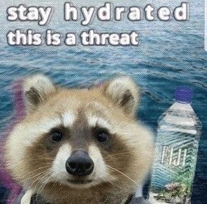 This may contain: a raccoon holding a bottle of water in it's hand with the caption stay hydrated this is a threat This may contain: a raccoon holding a bottle of water in it's hand with the caption stay hydrated this is a threat
