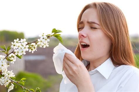 Natural Allergy Relief for Seasonal Allergies - Marcelle Pick, OB/GYN NP