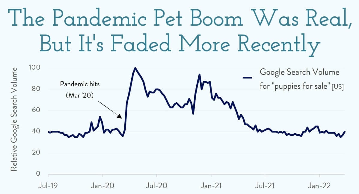 איך לנצח מגיפה