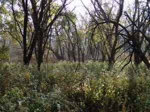 Photo by Stefanie Pierpoint