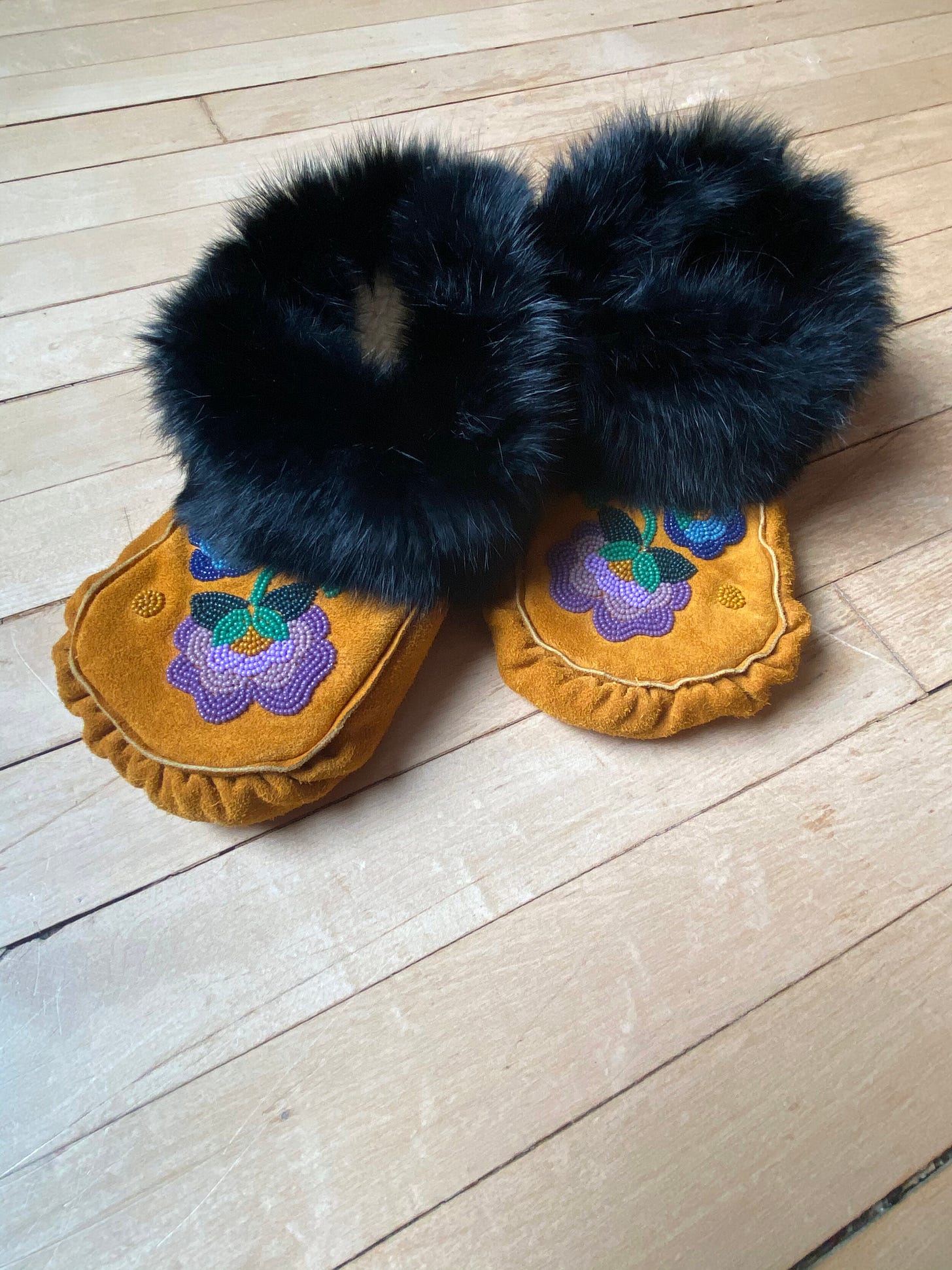 IMG_3115.JPG IMG_3115.JPG