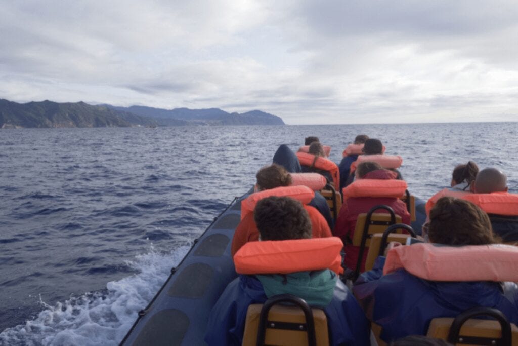 Whale watching from Ponta Delgada in a zodiac