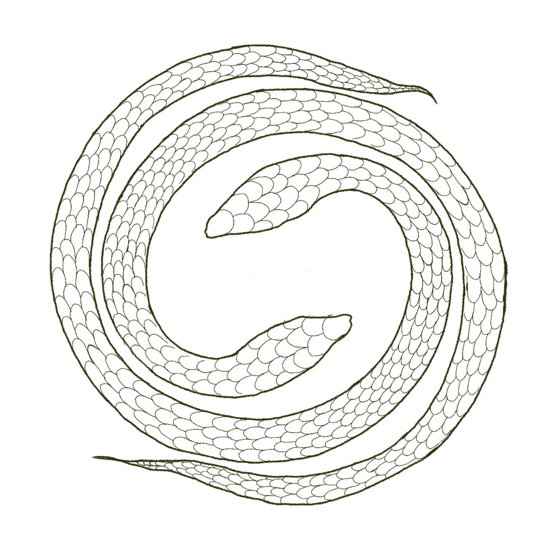 Artwork for WEAVING SONGLINES