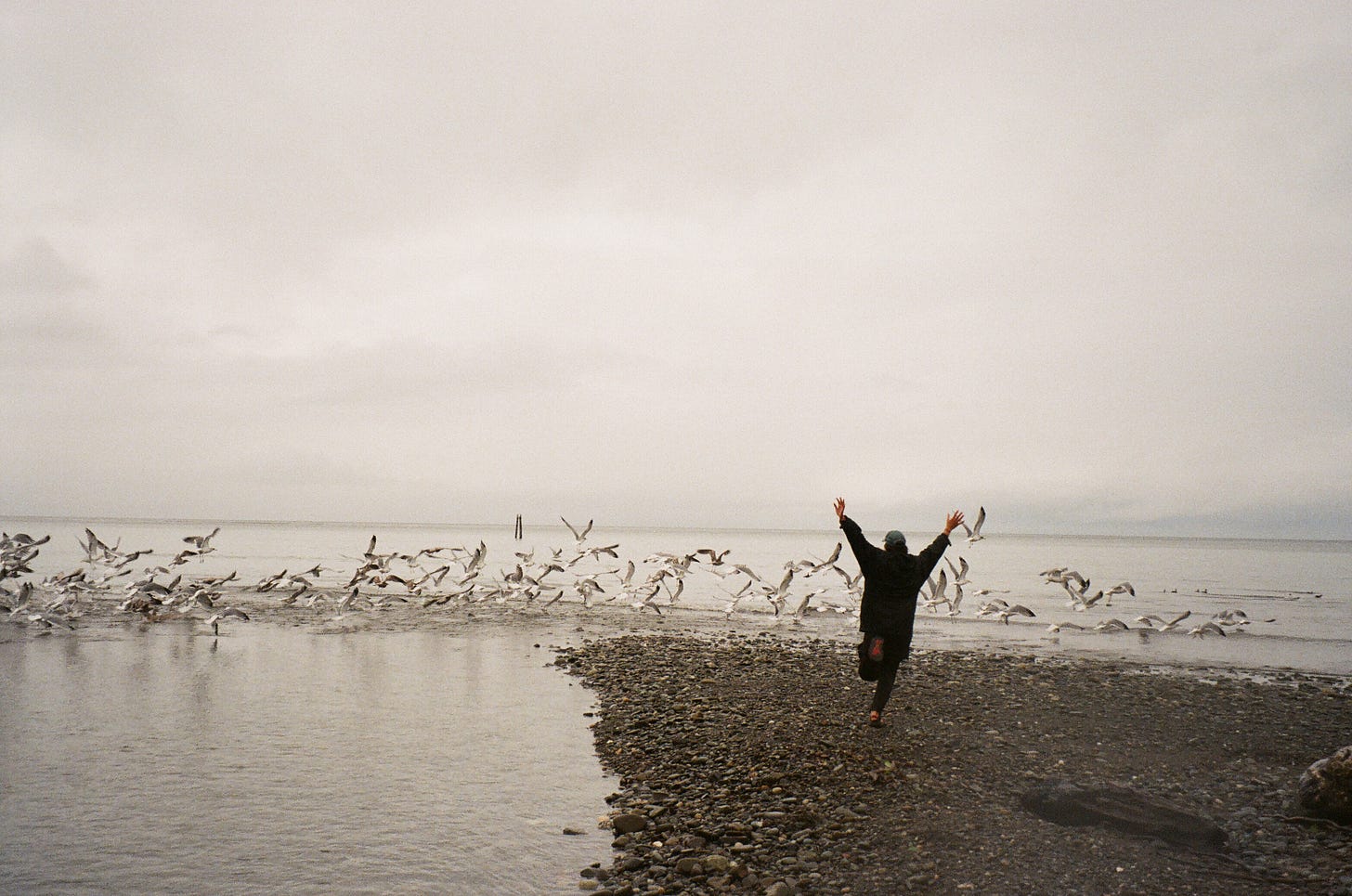 Woman runs into flock of seagulls on beach.