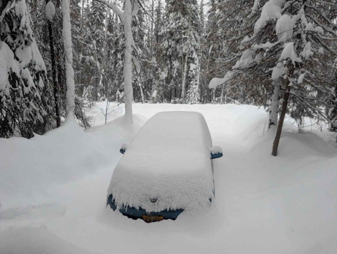 A blue car is almost completely buried under a thick layer of fresh snow in a driveway surrounded by snow-covered spruce trees. Only the lower door panels, a sliver of windshield, and the license plate are visible beneath the heavy accumulation. Fairbanks, Alaska, February 2026.