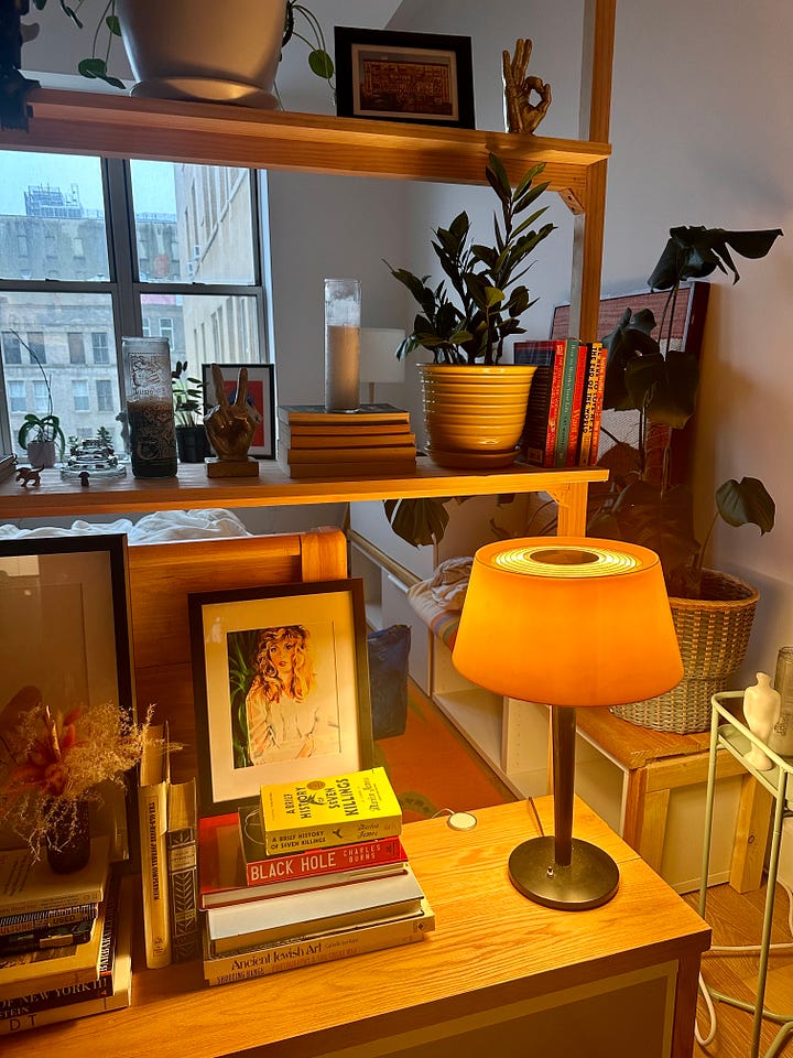 A brooklyn loft living room with a cold picnic alligator rug, mid century modern sectional sofa and shelves as room dividers