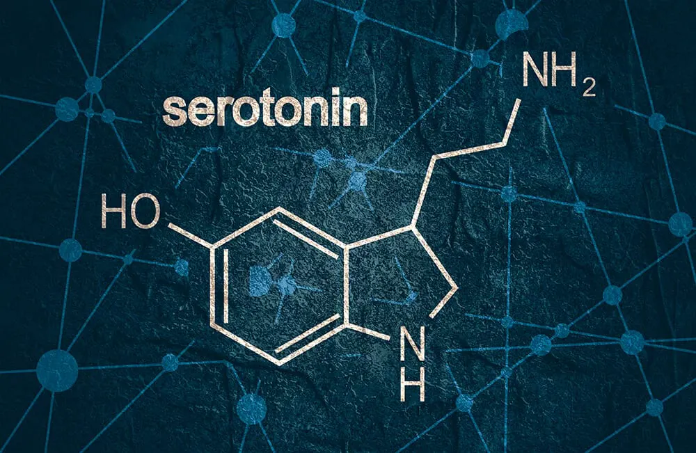 Serotonin molecules and brain chemistry visualization