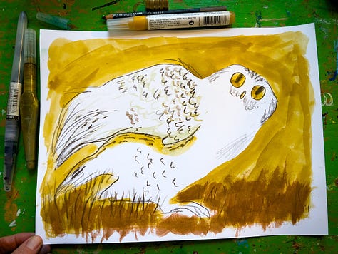 Owl illustrations by Beth Spencer