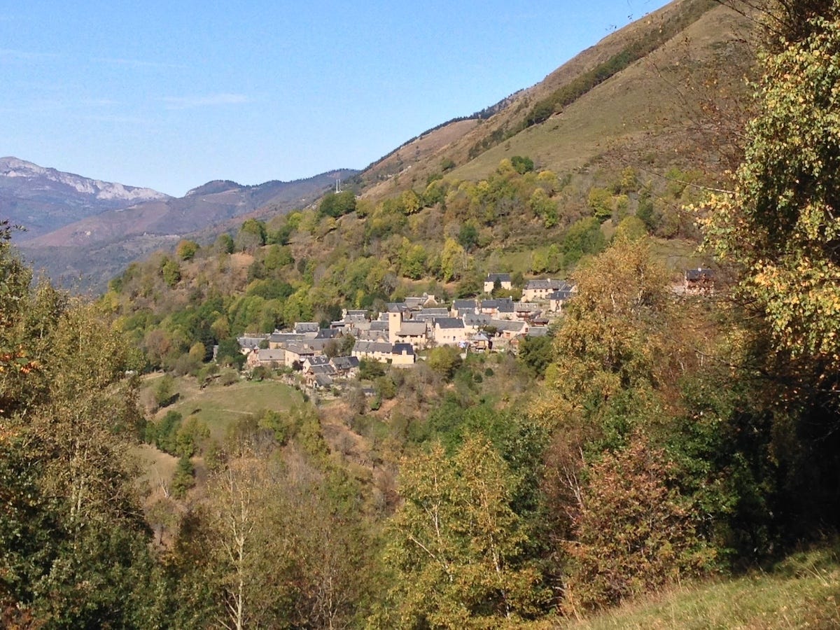 Mont