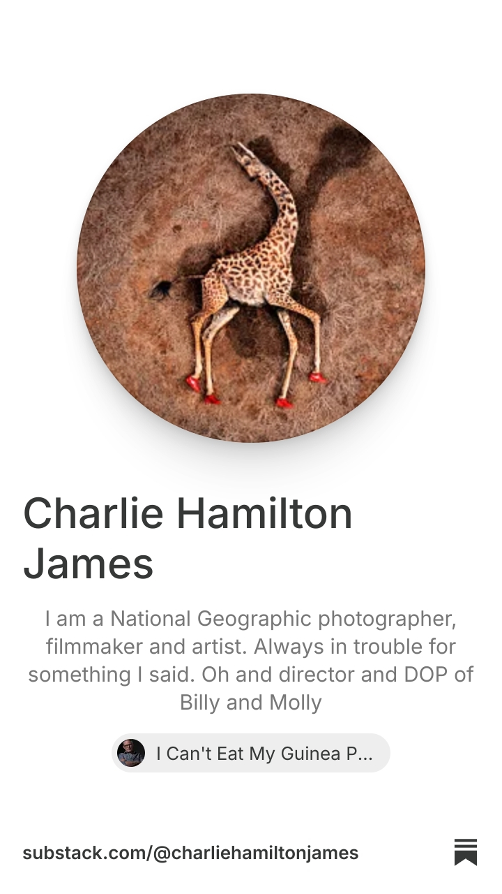 Charlie Hamilton James | Substack
