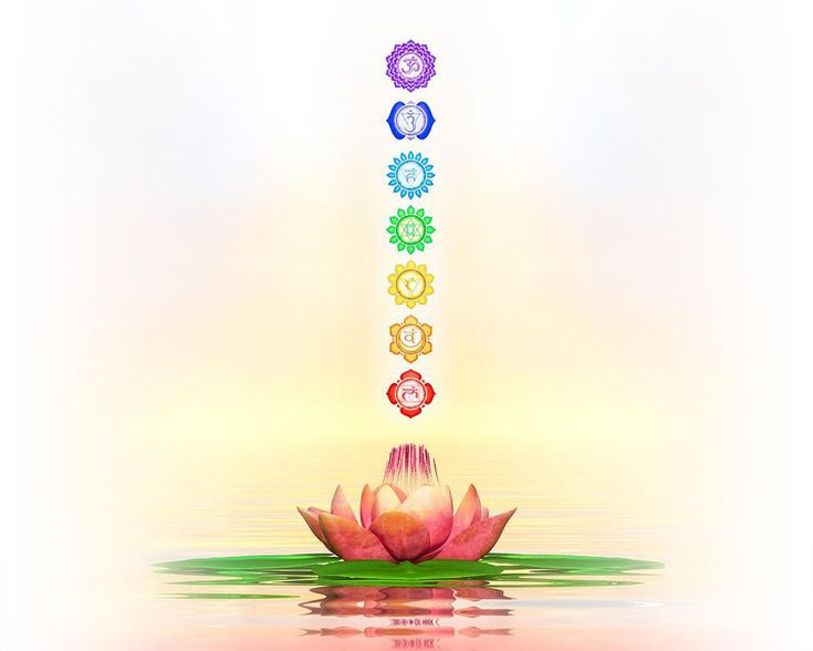 This may contain: a lotus flower with seven chakras floating on water