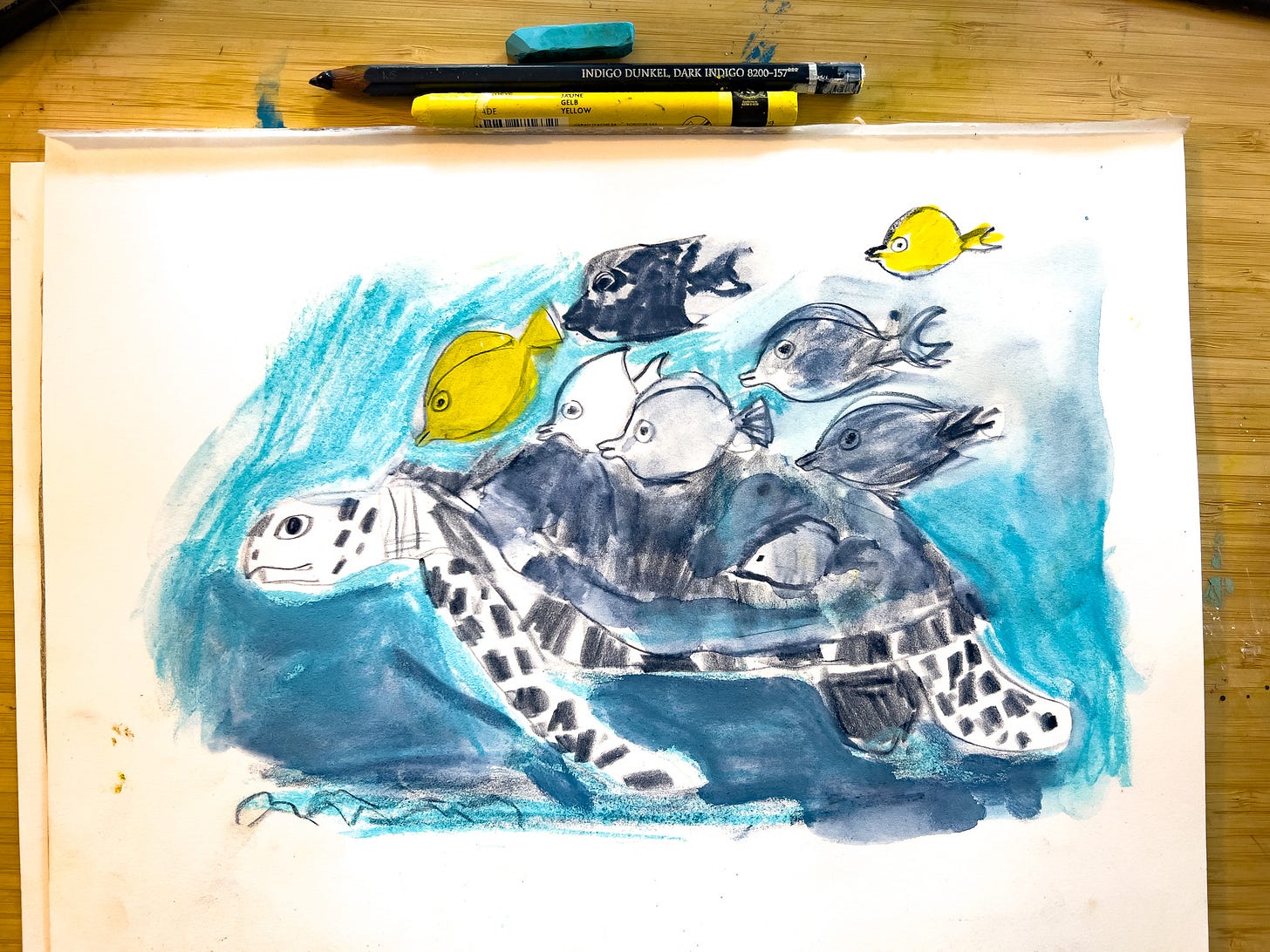 sea turtles and fish sea turtles and fish