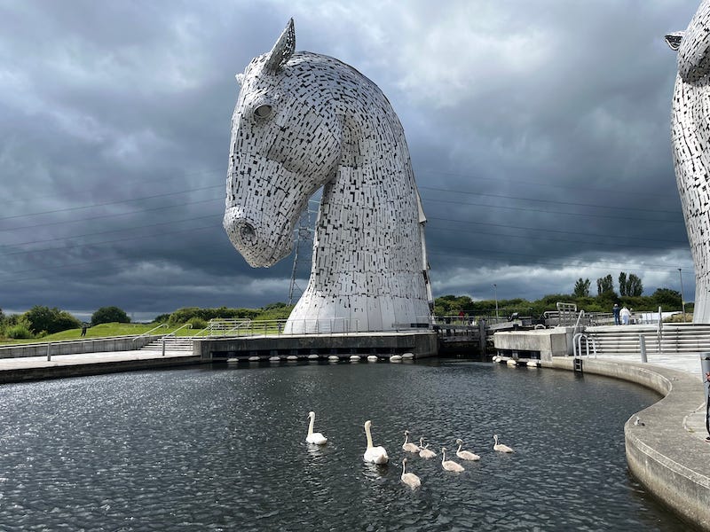 2025-6-24 Kelpies and waterfowl, photo by author