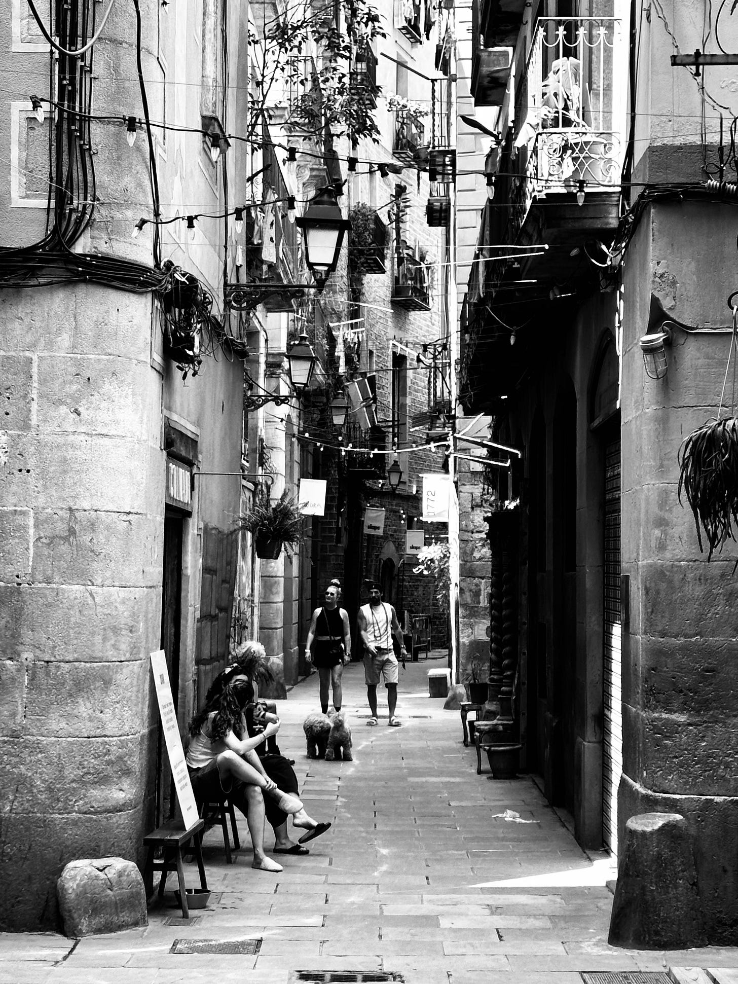 Alleys Alive: A Social Tapestry in Barcelona