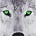 Btwixt's avatar