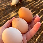 Haiku: Chicken or Egg? 