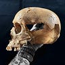 Anthropology.net