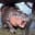 Mo Deng Baby Hippo's avatar
