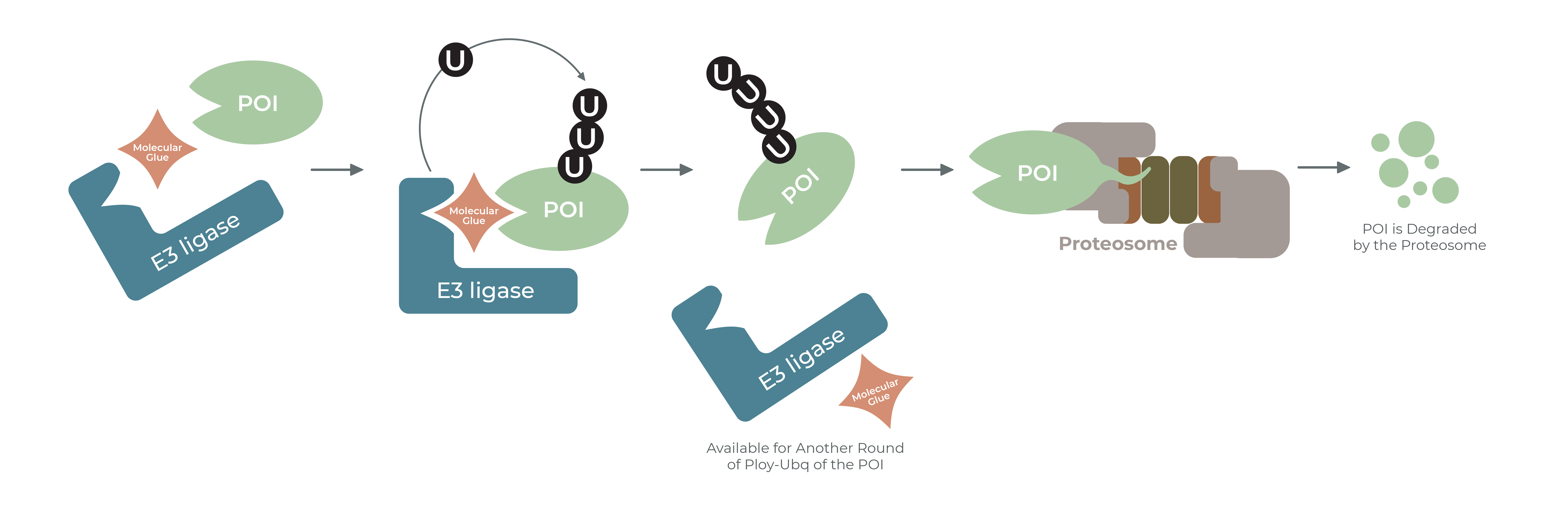 Unlocking the Power of Novel Molecules for Catalysis in Drug Discovery ...